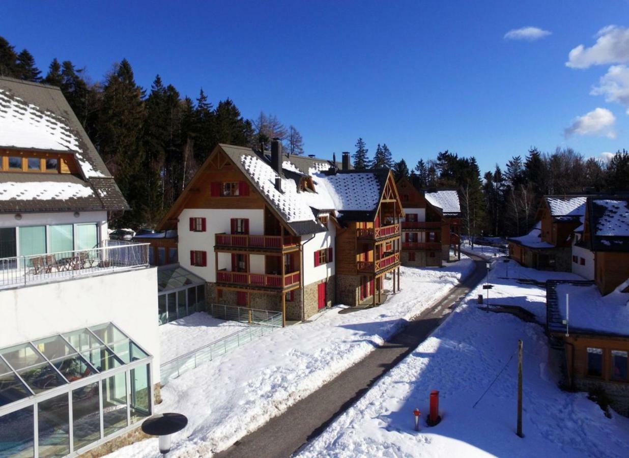Antela, 142 M2 Appartment For 12 Person In Mariborsko Pohorje 霍茨科波霍尔耶 外观 照片